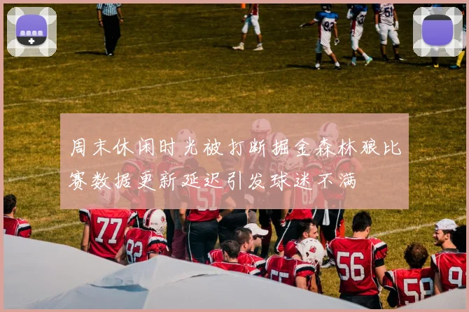 周末休闲时光被打断掘金森林狼比赛数据更新延迟引发球迷不满